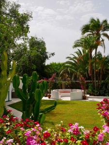 a garden with cacti and flowers and palm trees at BV House - Membersclub - Adult only in Estepona