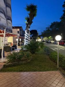 a tree on the side of a street at night at X Hotel in Punta Marina