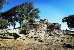 an old stone building on a hill with a tree at Casa Evelina in Villanovotulo +6 photos