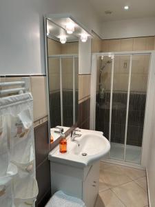 a bathroom with a sink and a shower at Le Cepyo in Saint-Quentin