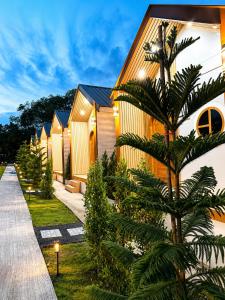 a row of houses with a palm tree in front at บ้านต้นจันทร์ in Nathon Bay