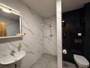 a bathroom with a sink and a toilet and a shower at Kolík Apartmány in Bohumín