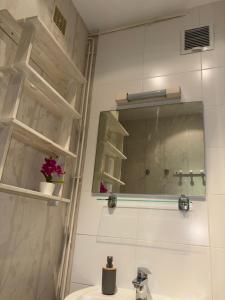 a bathroom with a sink and a mirror at Appartement centre-ville Montluel in Montluel +7 photos