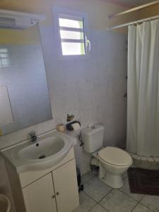 a bathroom with a sink and a toilet and a mirror at BungalowFlo - Maison de vacances avec Spa in Petit-Canal