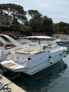 a white boat is docked in the water at Unique experience on a boat in Saint-Raphaël in Saint-Raphaël