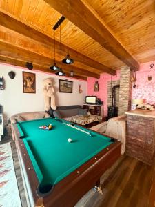 a living room with a pool table in it at Village FLOWER IVY Montenegro in Nikšić