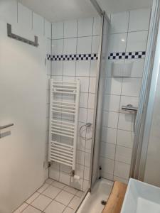 a bathroom with a shower and a sink at Antonios Hüttenzauber in Oberhof +5 photos
