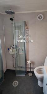 a bathroom with a shower and a toilet at Øya husrom nær E6,dobbeltrom, gratis parkering in Sarpsborg