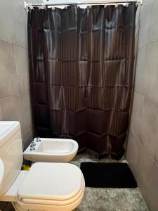 a bathroom with a toilet and a sink and a shower at Altos del Pissis I in Tinogasta