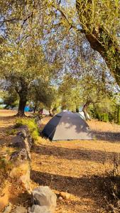 a tent in a field under a group of trees at Camping Himara in Himare