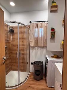 a shower with a glass door in a bathroom at Ranč na hribu in Trebnje +18 photos