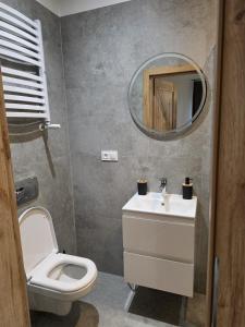 a bathroom with a toilet and a sink and a mirror at Bieszczady Bóbrka 24 in Bóbrka +8 photos