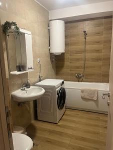 a bathroom with a washing machine and a sink at Tik-tak apartment in Petrovaradin +20 photos