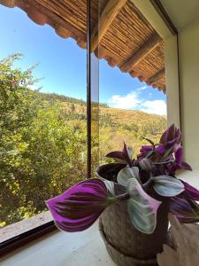 a vase with purple flowers sitting in a window at Cosy Private Room In A Community Home - A Space To Remember You In Andean Mountains in Pisac +4 photos