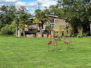 two flamingos standing in the grass in front of a house at Scarthingmoor Lodges in Weston +7 photos