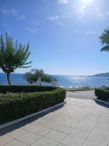 a walkway next to the ocean with a palm tree at SeaSuites Artemida in Artemida