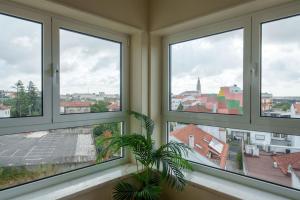 a room with four windows with a potted plant at StaynFeel 04 in Fátima
