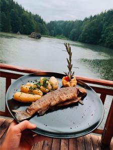 a plate of fish and vegetables on a table near a river at Berglsteinersee 712er Lounge in Breitenbach am Inn