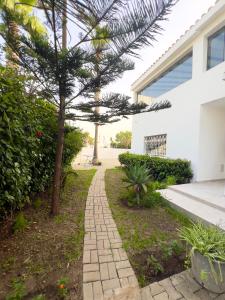 a walkway in front of a house with a tree at Villa Yassir expert Cabo in Cabo Negro