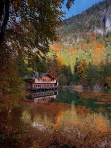 a house on a dock in the middle of a lake at Berglsteinersee 712er Lounge in Breitenbach am Inn