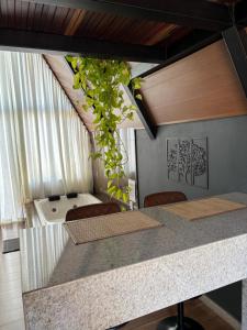 a kitchen with a counter with a plant at Chalé Aconchego in Caparaó Velho