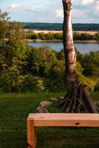 a bench sitting next to a tree in the grass at PrzyStań w Ciszy in Kozielec +39 photos