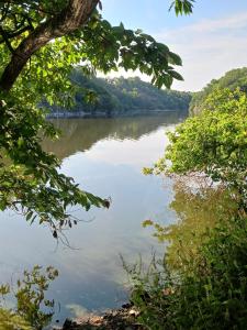 a view of a river through the trees at Les Roches Blanches Emplacements camping-car, tente, caravane in Guenroc