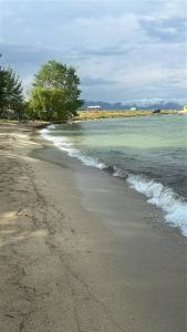 a beach with the ocean and trees in the background at Tsovazard Life Lake in Tsovazard