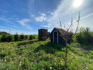 Gallery image of Pszczołowisko in Kulice