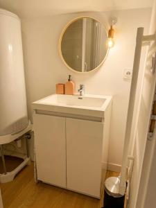 a bathroom with a sink and a mirror at Au Canon - Parking gratuit - Bords de Loire in Orléans