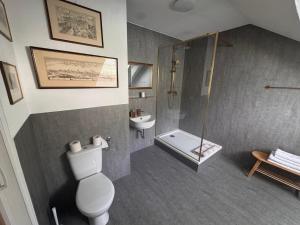 a bathroom with a toilet and a shower and a sink at Ferienwohnung Salzwiese in Brodenbach