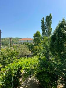 a garden with trees and a building in the background at Family-friendly in Pogradec