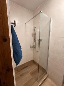 a bathroom with a shower with a glass door at Casa de Vacanta Sarinasuf in Sarinasuf