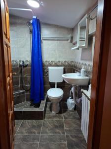 a bathroom with a toilet and a shower and a sink at Apartman Mickey in Sarajevo