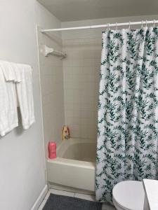 a bathroom with a tub and a shower curtain at Cozy Tampa Home in Tampa +10 photos