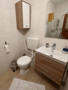 a bathroom with a toilet and a sink and a mirror at Casa de Vacanta Sarinasuf in Sarinasuf