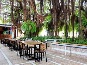 a row of tables and chairs in a restaurant with trees at Hotel Los Chilamates in Granada