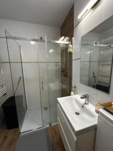 a bathroom with a shower and a sink at Apartament w Dolinie Baryczy in Milicz