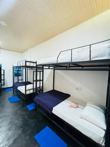 two bunk beds in a room with blue mats at Glowhaven Hostel in Sigiriya