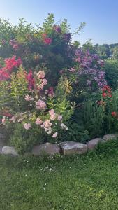 a garden with pink and purple flowers and bushes at Fischerhaus Herstelle in Beverungen