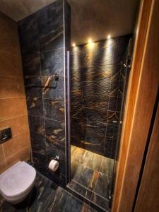 a bathroom with a toilet and a glass shower at LUNAS Apartmani in Kopaonik