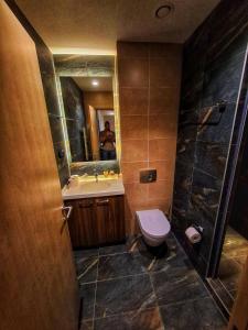 a bathroom with a toilet and a sink and a mirror at LUNAS Apartmani in Kopaonik