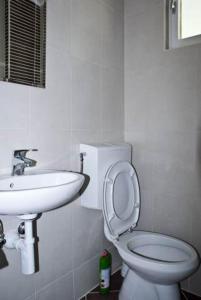 a bathroom with a white toilet and a sink at Apartment Dunja Djenovici in Herceg-Novi +22 photos