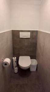 a bathroom with a white toilet and a trash can at Apart Ritzl in Fügen