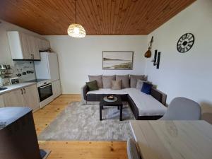 a living room with a couch and a table at Sunrise in Žabljak