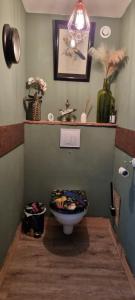 a bathroom with a toilet and a chandelier at Gite De Charme in Ganac +59 photos