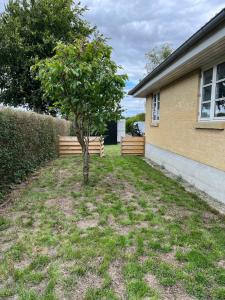 a tree in a yard next to a house at Bright and quiet townhouse in Bellinge