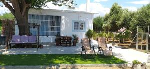 a house with purple chairs sitting on a lawn at Mareliva Retreat in Trinísia