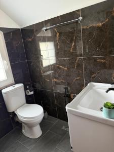a bathroom with a toilet and a sink and a tub at Riza Guest House in Pukë +61 photos