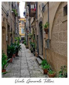 an alley with potted plants on the side of a building at Il Vicoletto in Isernia